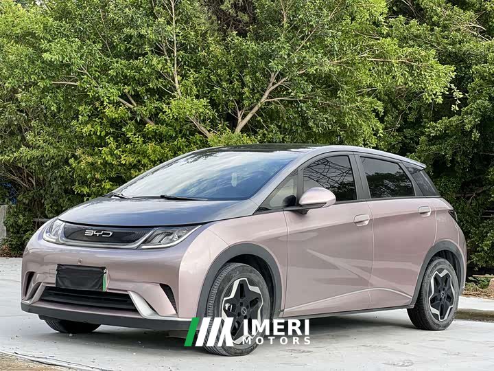 BYD Dolphin 405km Fashion Edition - ავტომობილი ჩინეთიდან