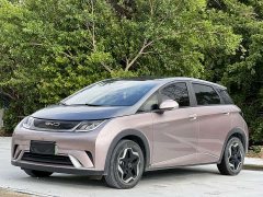 BYD Dolphin 405km Fashion Edition - ფოტო 1