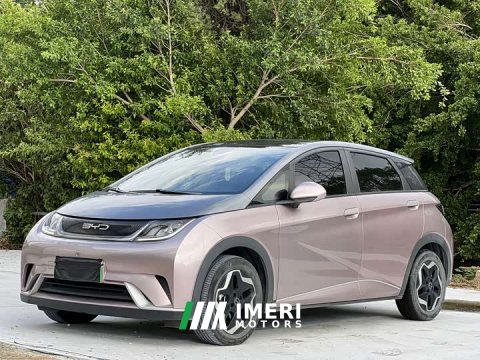 2023 BYD Dolphin 405km Fashion Edition - ავტომობილი ჩინეთიდან