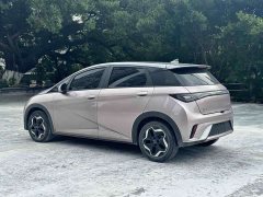 BYD Dolphin 405km Fashion Edition - ფოტო 8