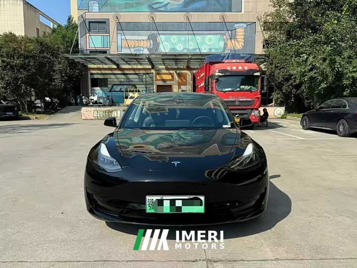 Tesla Model 3 Standard Range RWD Upgrade 3D6