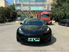 Tesla Model 3 Standard Range RWD Upgrade 3D6 - ფოტო 1