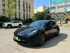 Tesla Model 3 Standard Range RWD Upgrade 3D6 - ფოტო 3