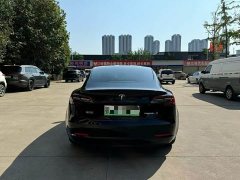Tesla Model 3 Standard Range RWD Upgrade 3D6 - ფოტო 7
