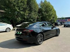 Tesla Model 3 Standard Range RWD Upgrade 3D6 - ფოტო 9