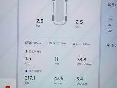 Li Auto L9 Max - ფოტო 19