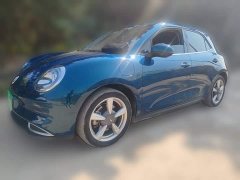 ORA Good Cat 401km Standard Range Luxury LFP - ფოტო 1