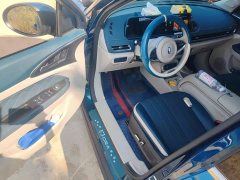 ORA Good Cat 401km Standard Range Luxury LFP - ფოტო 12