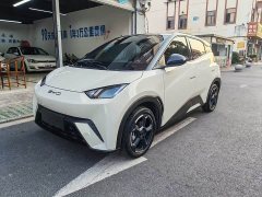 BYD Seagull Freedom Edition - ფოტო 1