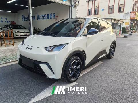 2023 BYD Seagull Freedom Edition