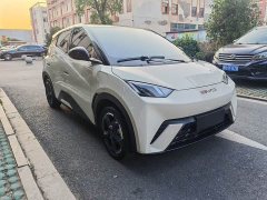 BYD Seagull Freedom Edition - ფოტო 3