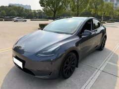 Tesla Model Y Long Range All-Wheel Drive - ფოტო 1