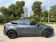 Tesla Model Y Long Range All-Wheel Drive - ფოტო 7