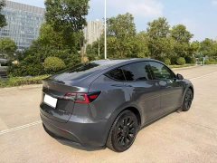 Tesla Model Y Long Range All-Wheel Drive - ფოტო 8