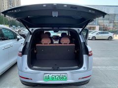 Denza N8L PHEV Flash Charge Premium Edition - ფოტო 9