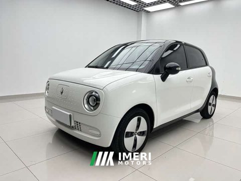 2022 Ora Black Cat 301km Base Ternary Lithium - ავტომობილი ჩინეთიდან
