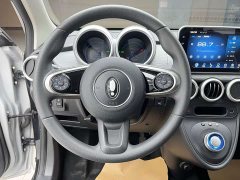 Ora Black Cat 301km Base Ternary Lithium - ფოტო 14