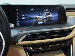 Buick GL8 Land Executive Cabin Advance Edition - ფოტო 11