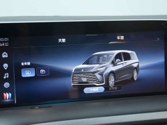 Buick GL8 Land Executive Cabin Advance Edition - ფოტო 12
