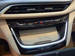 Buick GL8 Land Executive Cabin Advance Edition - ფოტო 7