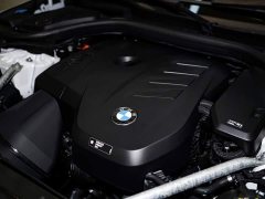 BMW 5 Series 530Li Luxury M Sport Package - ფოტო 13