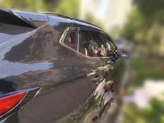 Changan Oushan X5 1.5T DCT Premier - ფოტო 6
