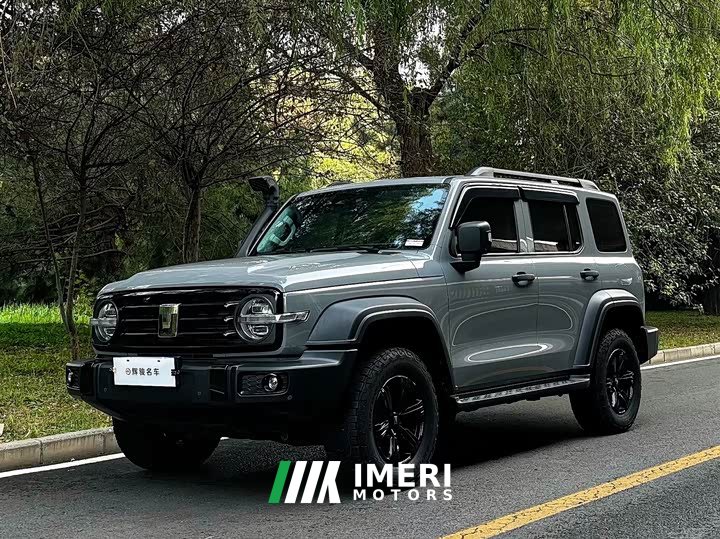 Tank 300 Off-Road Edition 2.0T Conqueror - ავტომობილი ჩინეთიდან