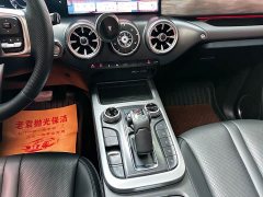 Tank 300 Off-Road Edition 2.0T Conqueror - ფოტო 16
