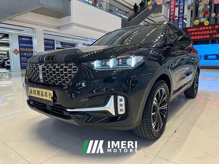 Great Wall WEY VV6 2.0T Two-Wheel Drive Smart Plus - ავტომობილი ჩინეთიდან