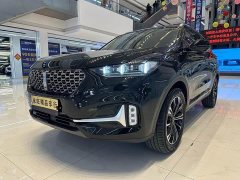 Great Wall WEY VV6 2.0T Two-Wheel Drive Smart Plus - ფოტო 1