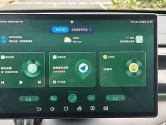 BYD Tang New Energy 2021 DM-i 112KM Premium Edition - ფოტო 19