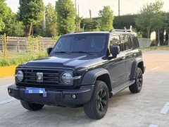 Tank 300 2024 2.0T Conqueror - ფოტო 1