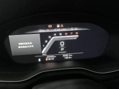 Audi A4L 40 TFSI Luxury Dynamic - ფოტო 14