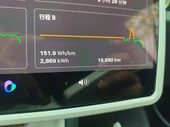 Tesla Model 3 Rear-Wheel Drive - ფოტო 8