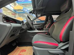 Jetour Jietu Dasheng 1.5T DCT Star Radiance PRO - ფოტო 7