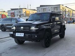 Tank 300 2.0T Gasoline Conqueror - ფოტო 1