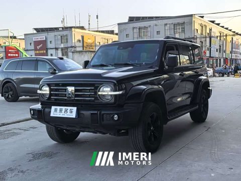 2025 Tank 300 2.0T Gasoline Conqueror - ავტომობილი ჩინეთიდან