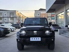 Tank 300 2.0T Gasoline Conqueror - ფოტო 2