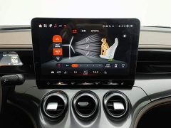 Smart #3 Pulse AWD - ფოტო 12
