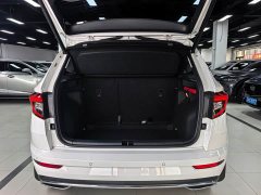 Skoda Corollac Facelift TSI280 Luxury Edition - ფოტო 17