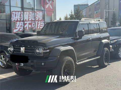 2021 Tank 300 Off-Road Edition 2.0T Conqueror - ავტომობილი ჩინეთიდან