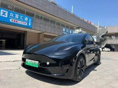 Tesla Model Y Standard Range RWD - ფოტო 1
