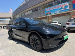 Tesla Model Y Standard Range RWD - ფოტო 3