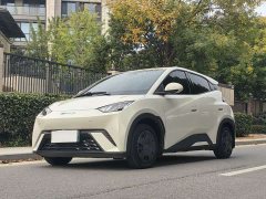BYD Seagull Flying Edition - ფოტო 1