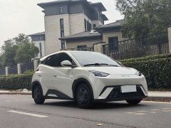 BYD Seagull Flying Edition - ფოტო 3