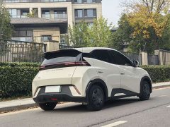 BYD Seagull Flying Edition - ფოტო 5