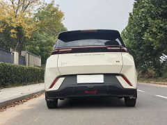 BYD Seagull Flying Edition - ფოტო 6