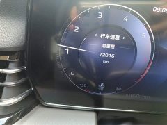 FAW Red Flag HS5 2023 2.0T Flagship Enjoy Pro - ფოტო 8