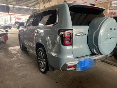 Beijing Jeep BJ60 2022 2.0T Eleventh Edition Seven-Seater - ფოტო 16
