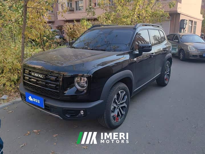 Great Wall Dachshund 1.5T DCT Border Collie Edition - ავტომობილი ჩინეთიდან
